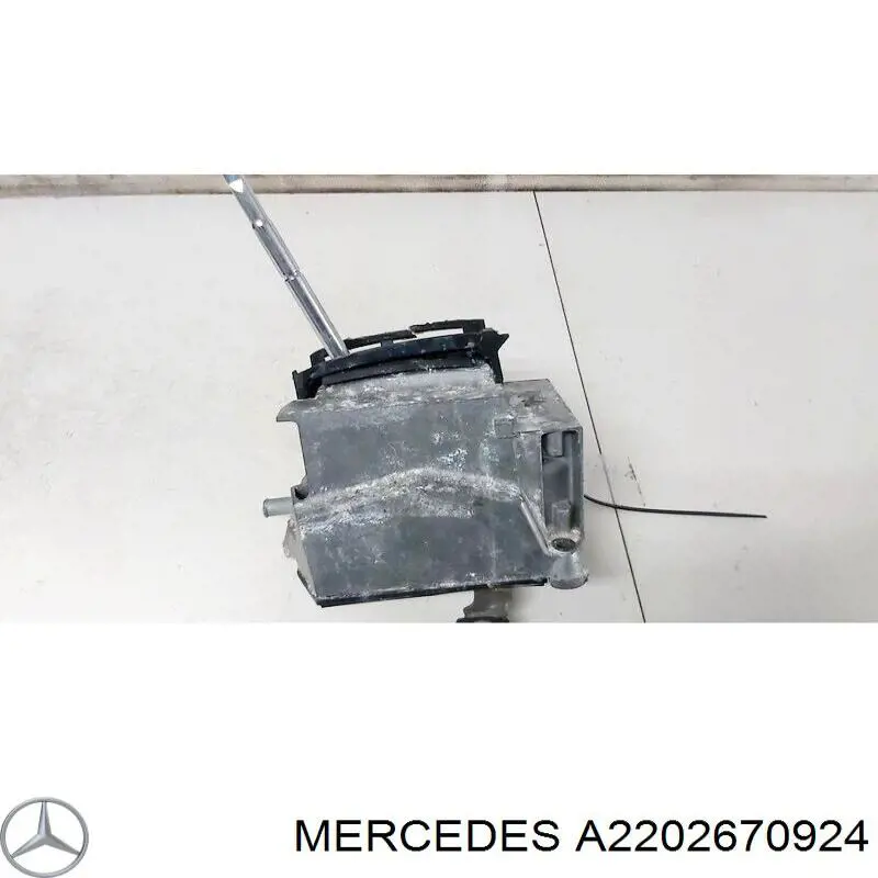 2202670924 Mercedes