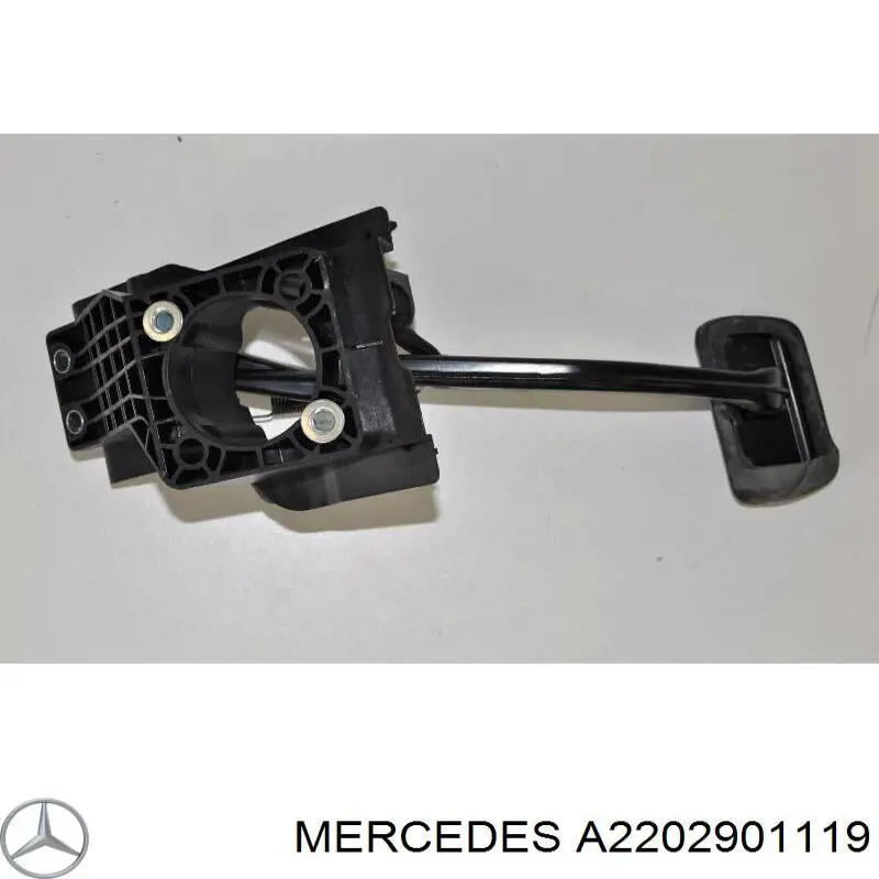 A2202901119 Mercedes