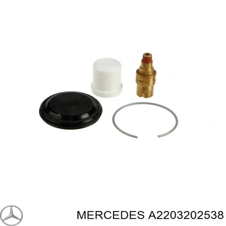 Amortiguadores Mercedes A2203202538 precio, desde 198,34 EUR
