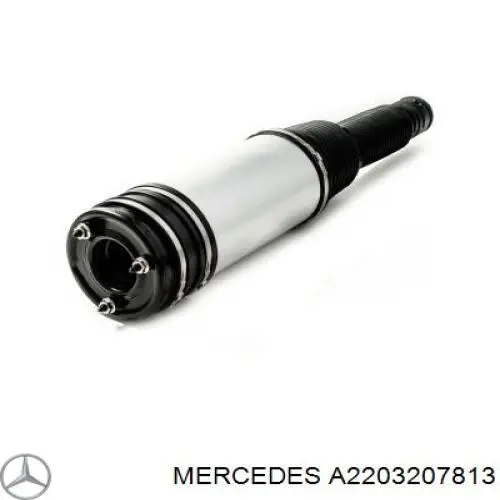 A2203207813 Mercedes amortiguador trasero