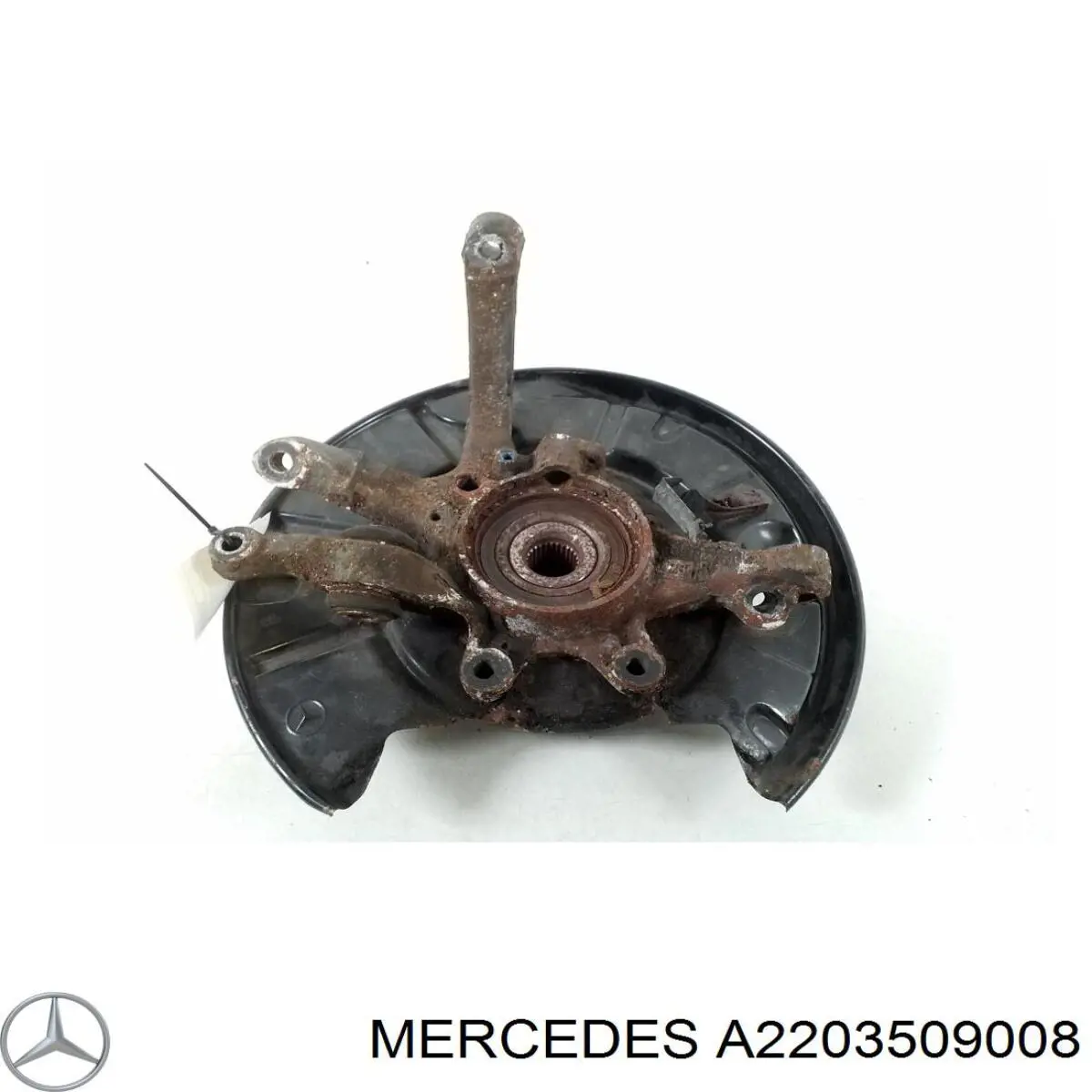 Muñón de eje, cuerpo del eje, trasero izquierdo para Mercedes S (C215)