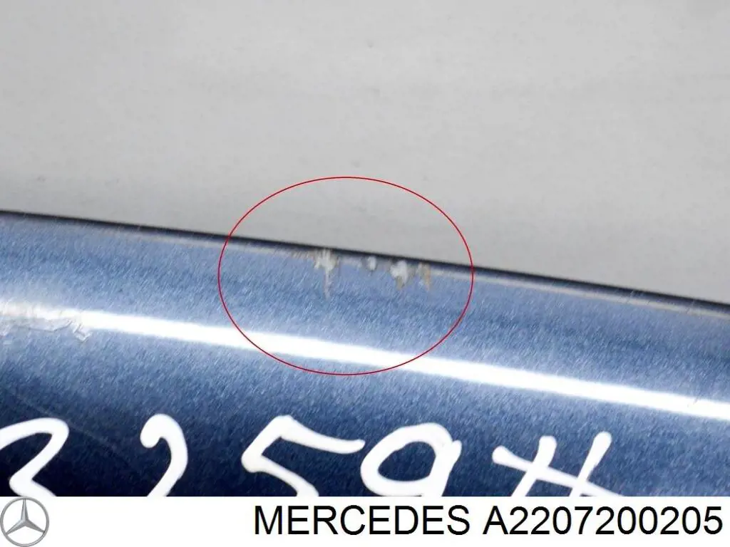 A2207200205 Mercedes Puerta delantera derecha