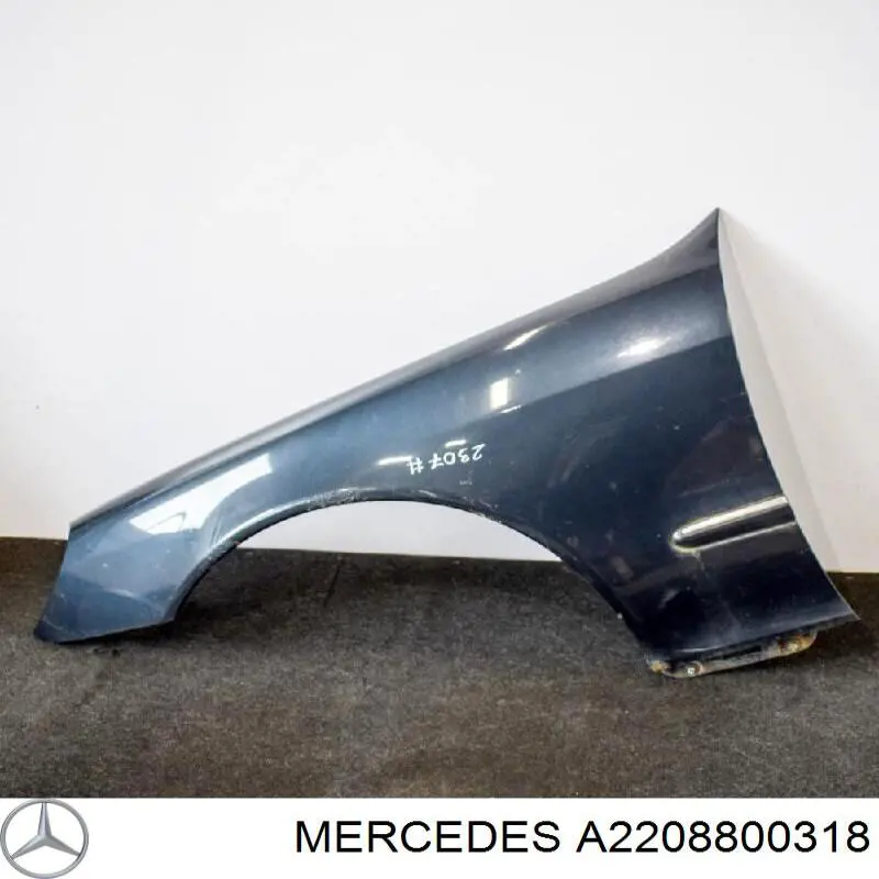 A2208800318 Mercedes Aleta delantera izquierda
