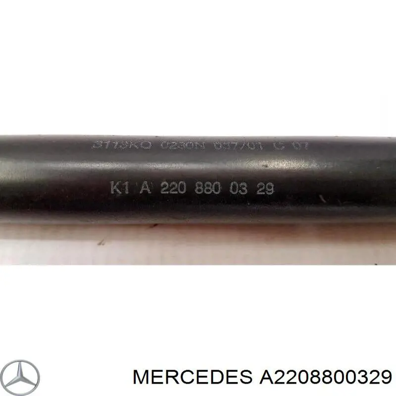 A2208800329 Mercedes muelle neumático, capó de motor