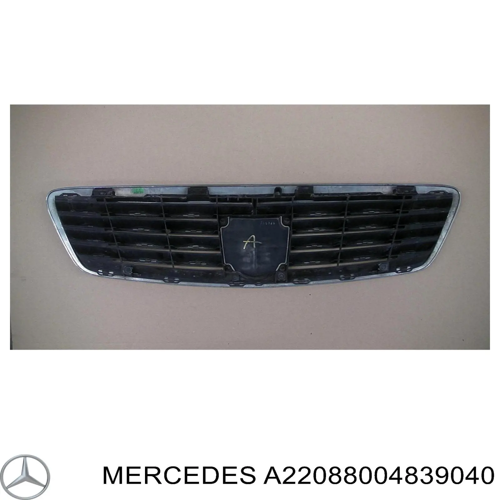 2208800483 Mercedes Calandra