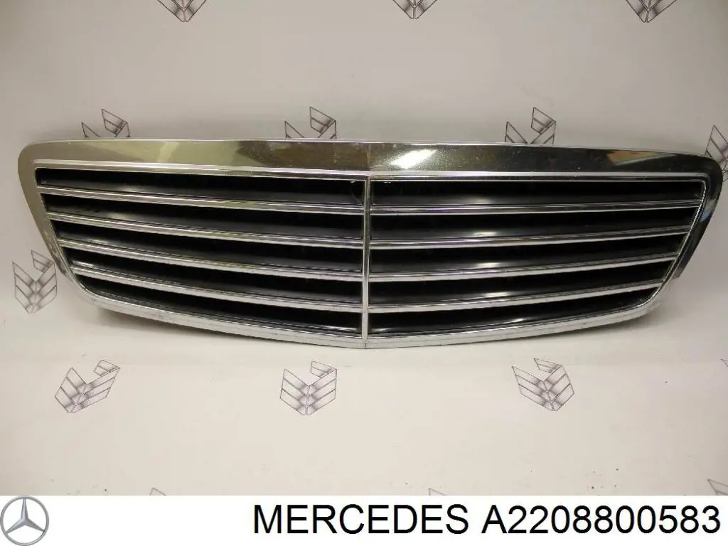 Parrilla A2208800583 Mercedes