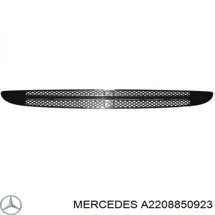 Rejilla de ventilación, paragolpes delantero, central Mercedes A2208850923 precio, desde 18,32 EUR