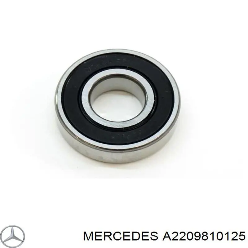 Comprar A2209810125 Mercedes 