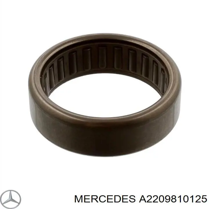 A2209810125 Mercedes