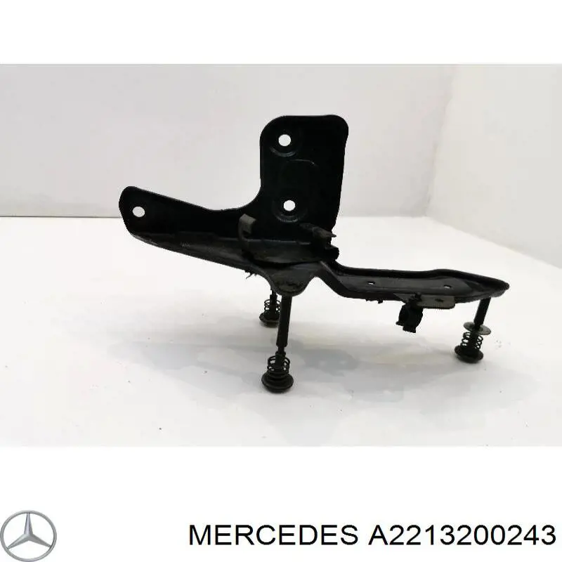 A2213200243 Mercedes