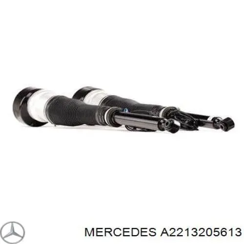 A2213205613 Mercedes amortiguador trasero derecho