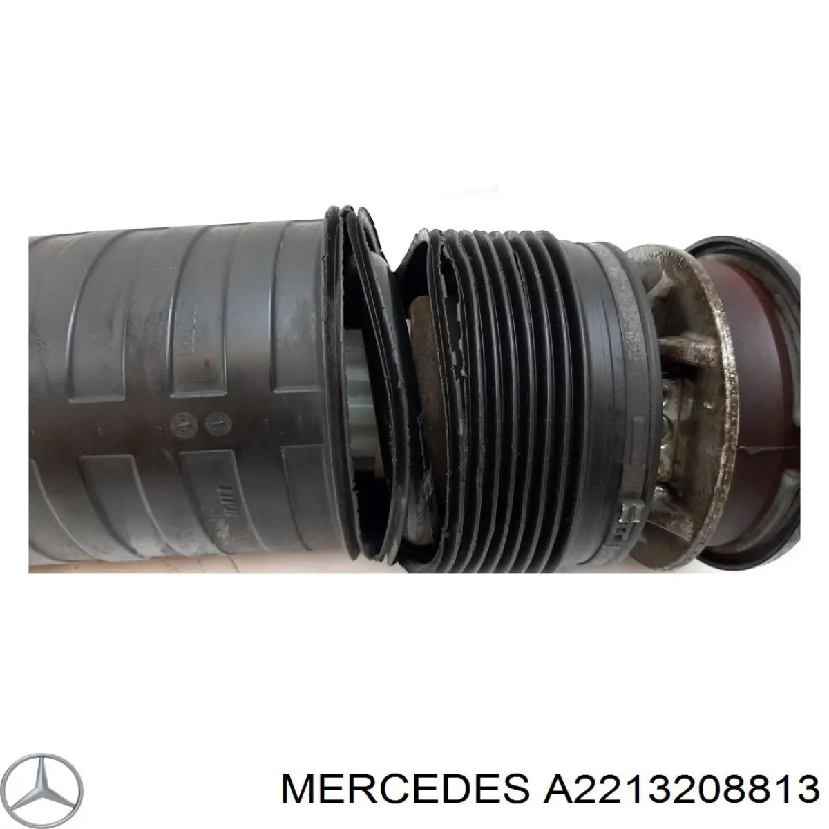 A2213208813 Mercedes amortiguador trasero derecho