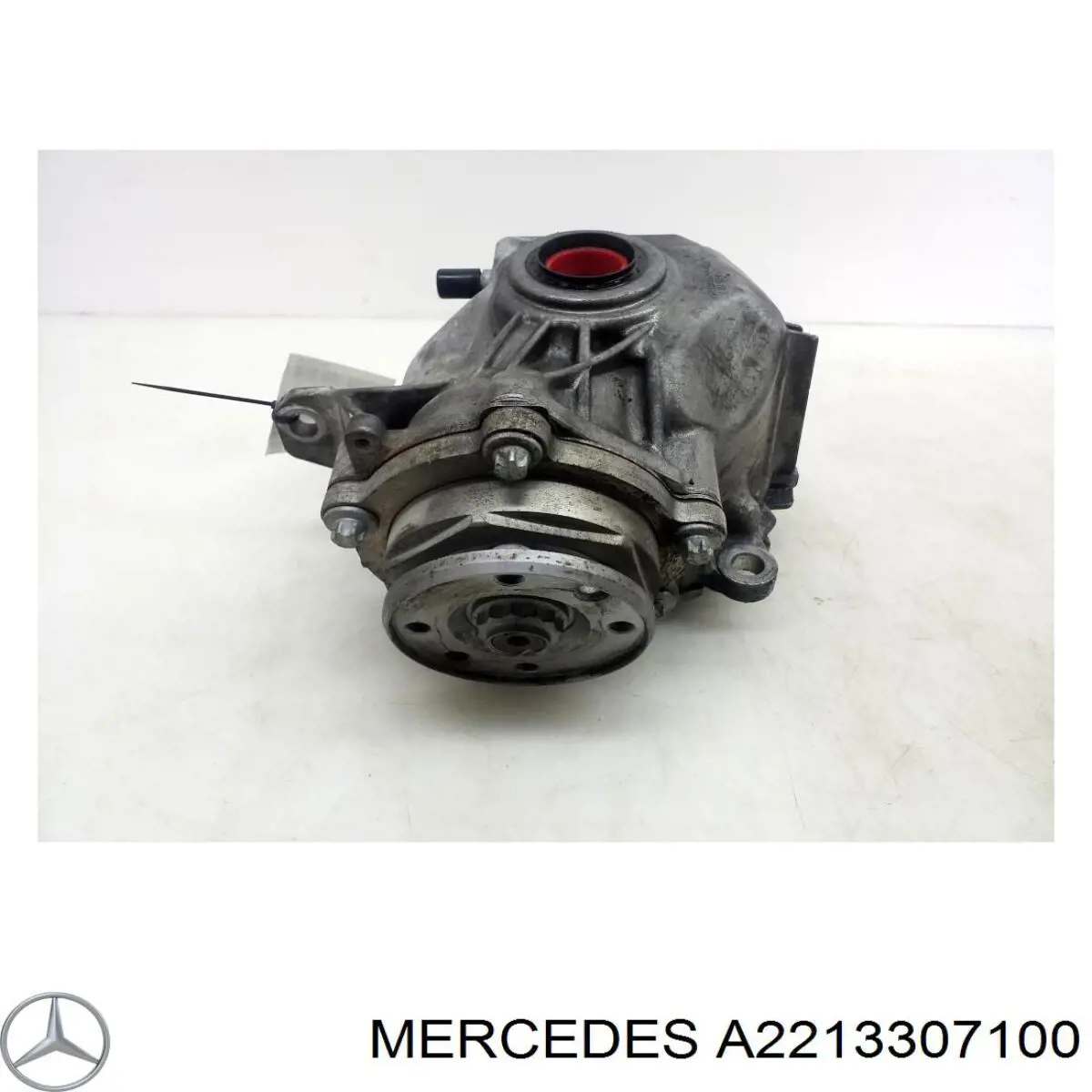 A2213307100 Mercedes