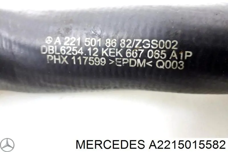 Mercedes A2215015582