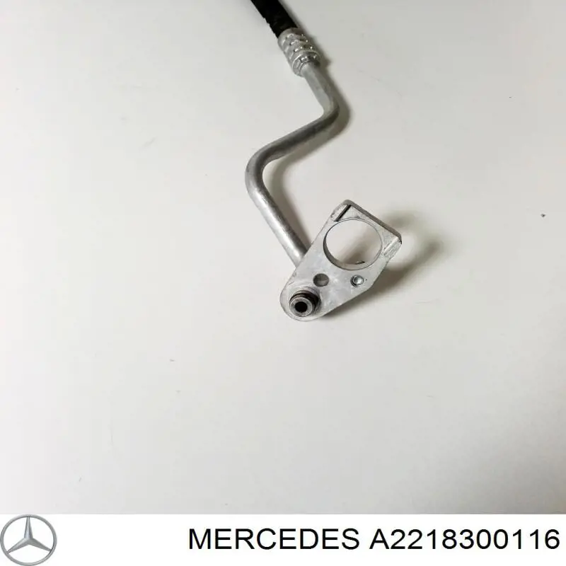Comprar A2218300116 Mercedes 