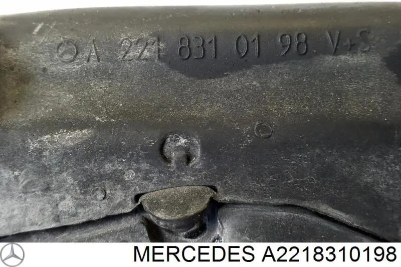 A2218310198 Mercedes