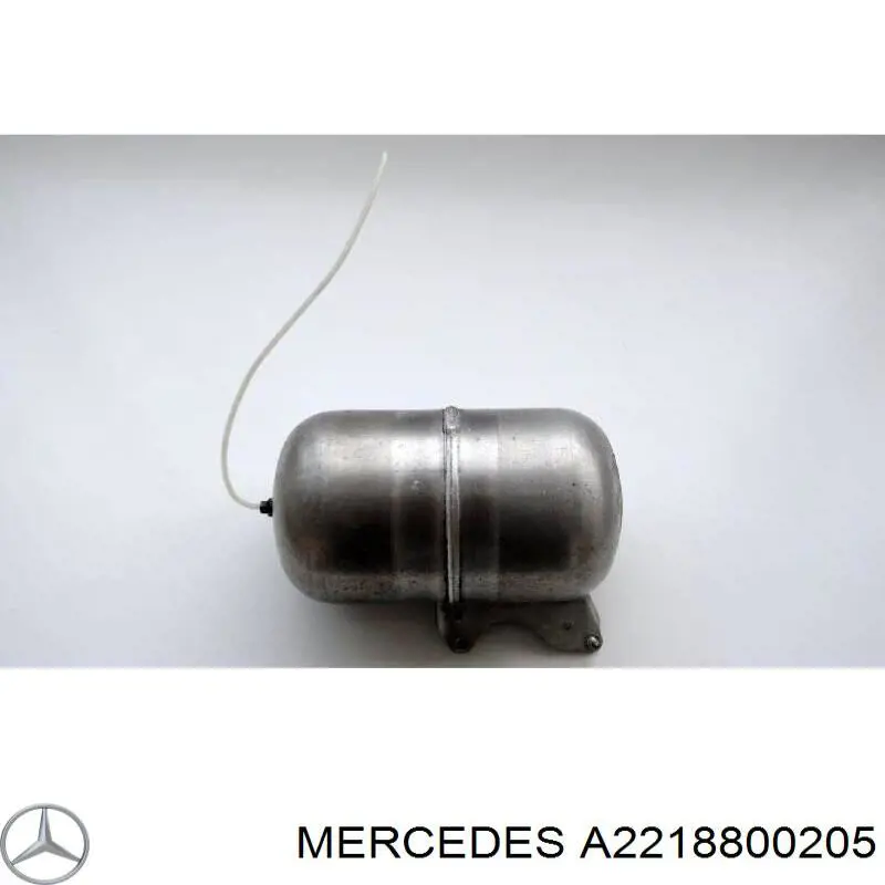 Comprar 22188002059999 Mercedes Rejilla del capó