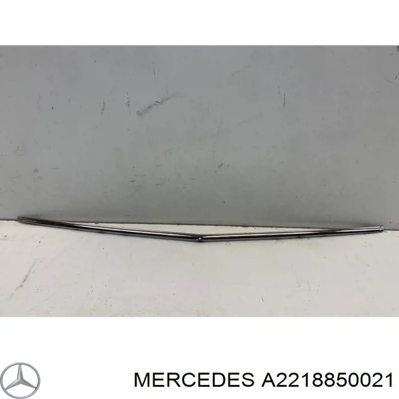 Moldura de parachoques delantero central para Mercedes S (W221)