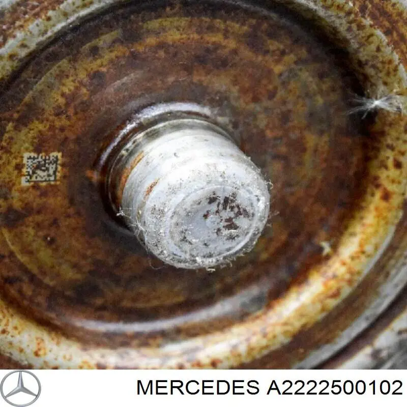 Convertidor de par Mercedes 2222500102 precio, desde 484,39 EUR