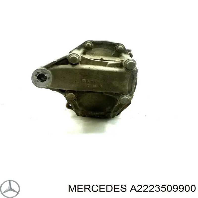 A2223509900 Mercedes