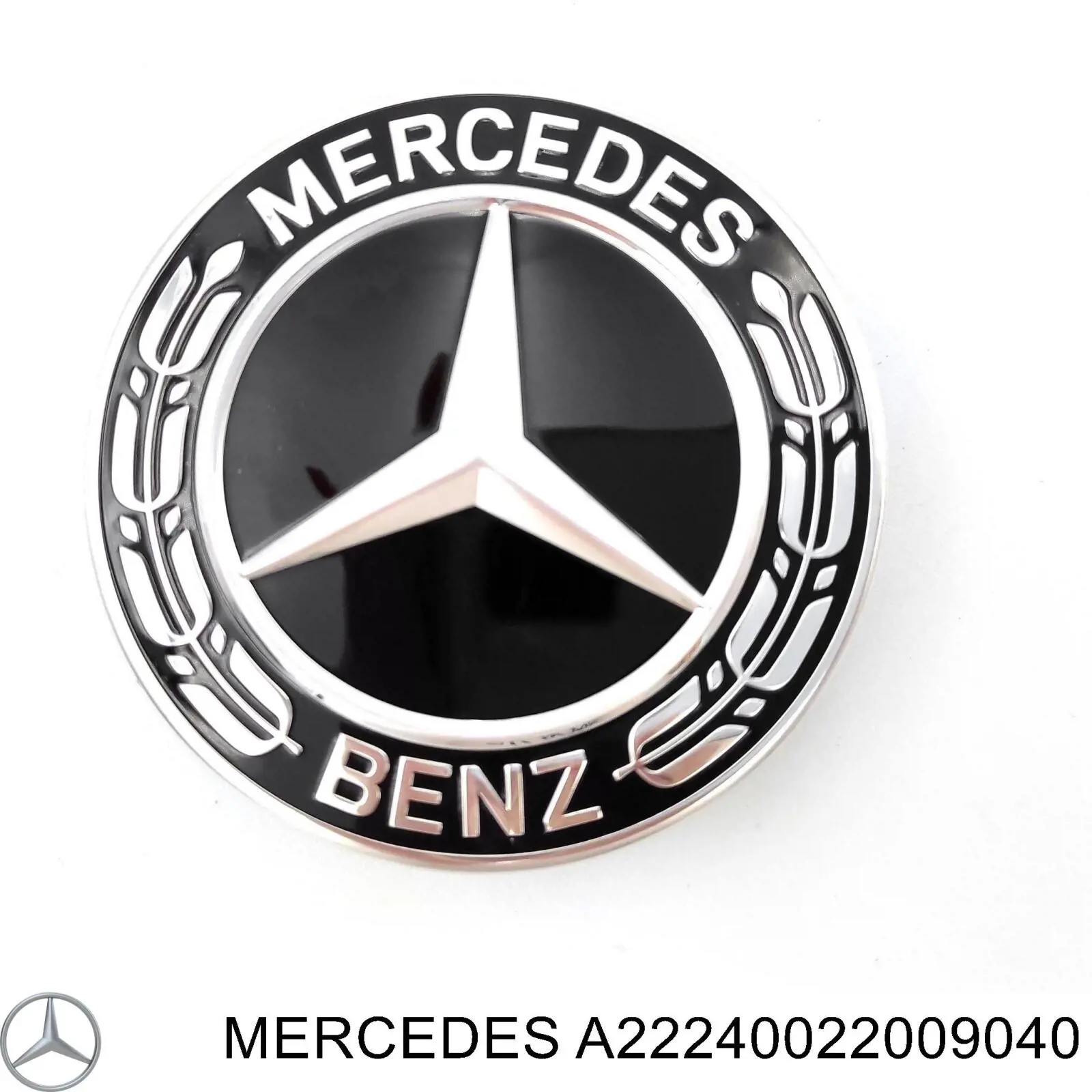 A22240022009040 Mercedes Cubierta de la Llanta