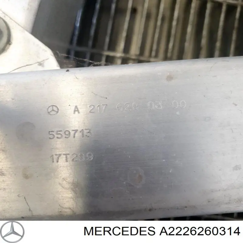 2226260314 Mercedes