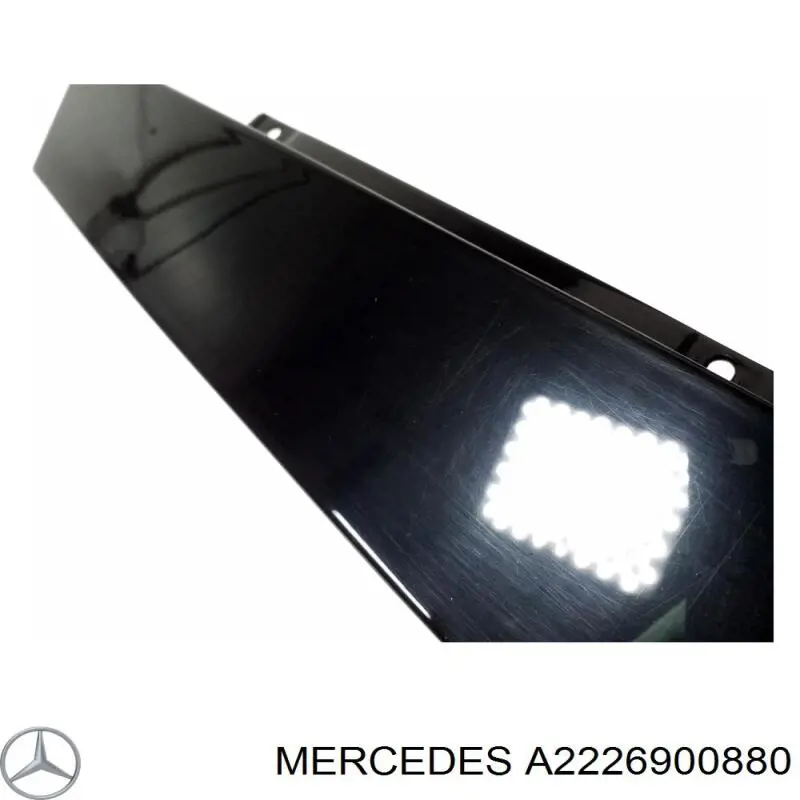 A222690088028 Mercedes