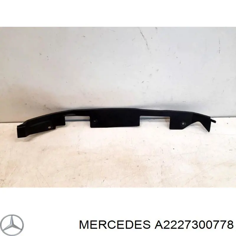 A2227300778 Mercedes