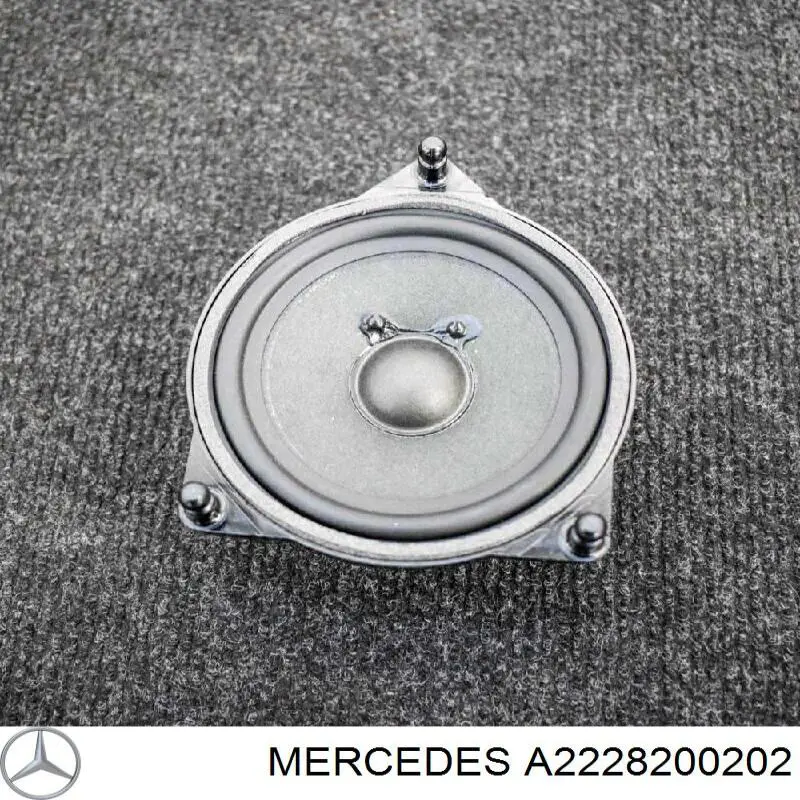 A2228200202 Mercedes