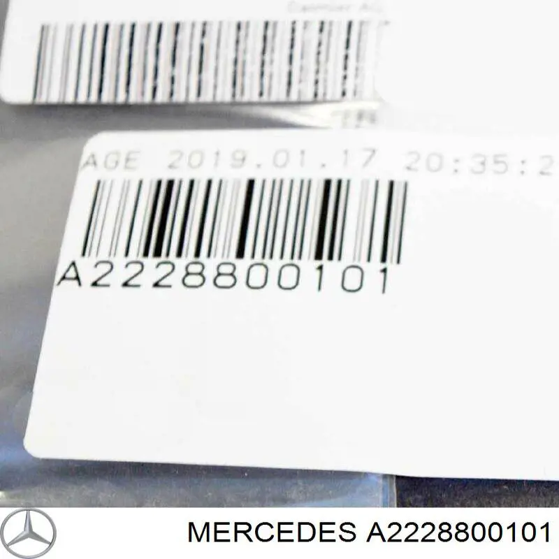 Comprar A2228800101 Mercedes 
