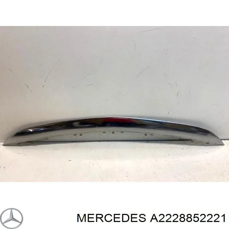 2228852221 Mercedes