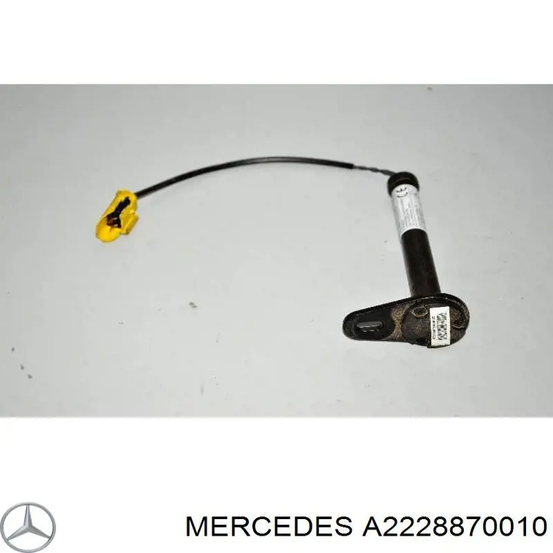 A2228870010 Mercedes