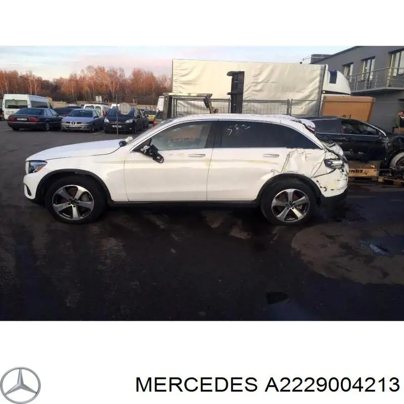 A2229004213 Mercedes