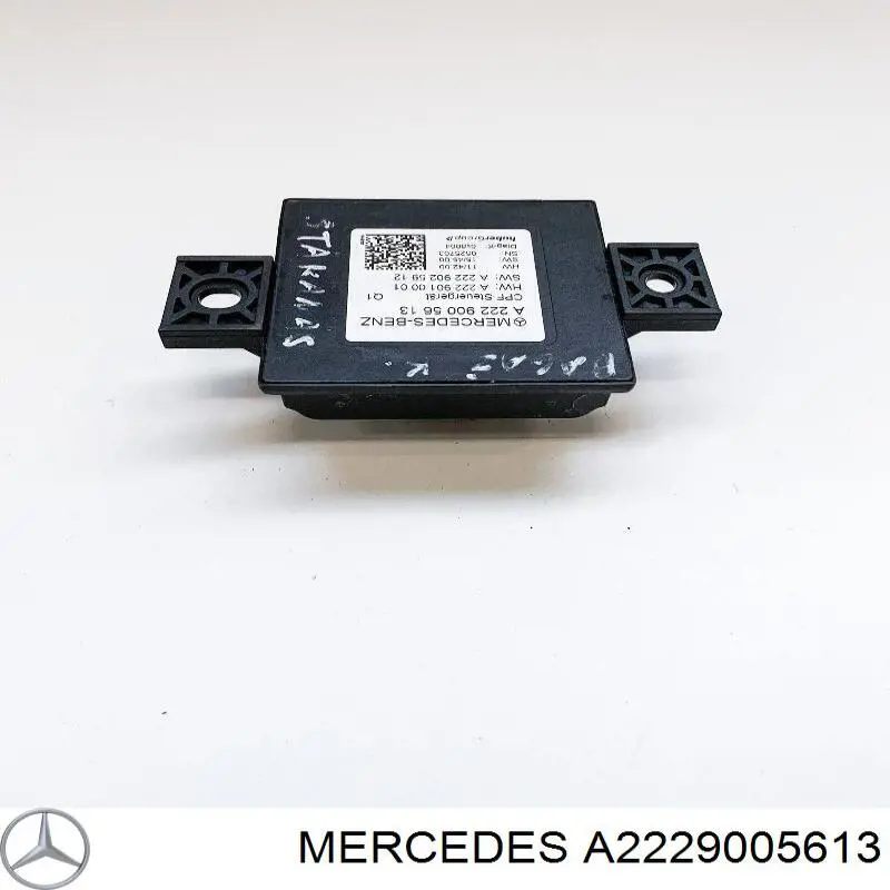 2229005613 Mercedes