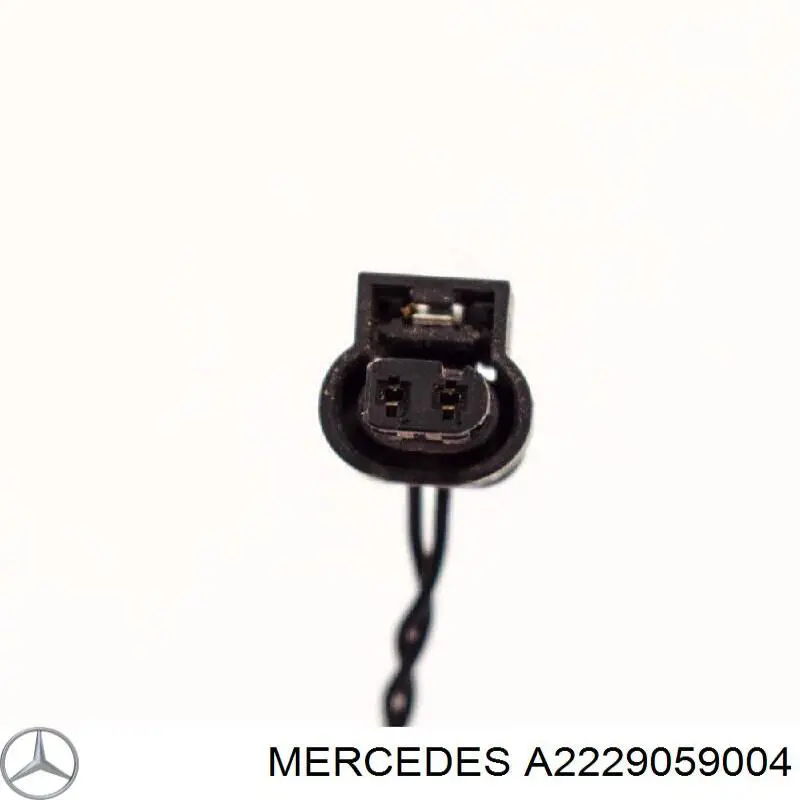 A222905900480 Mercedes