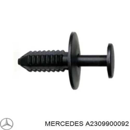 23099000929051 Mercedes