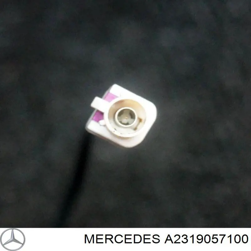 A2319057100 Mercedes