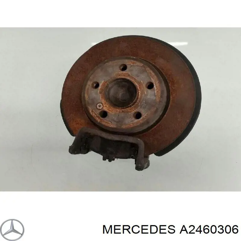 Comprar 2463503541 Mercedes Mangueta trasera izquierda