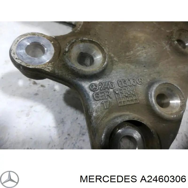 2463503541 Mercedes Mangueta trasera izquierda