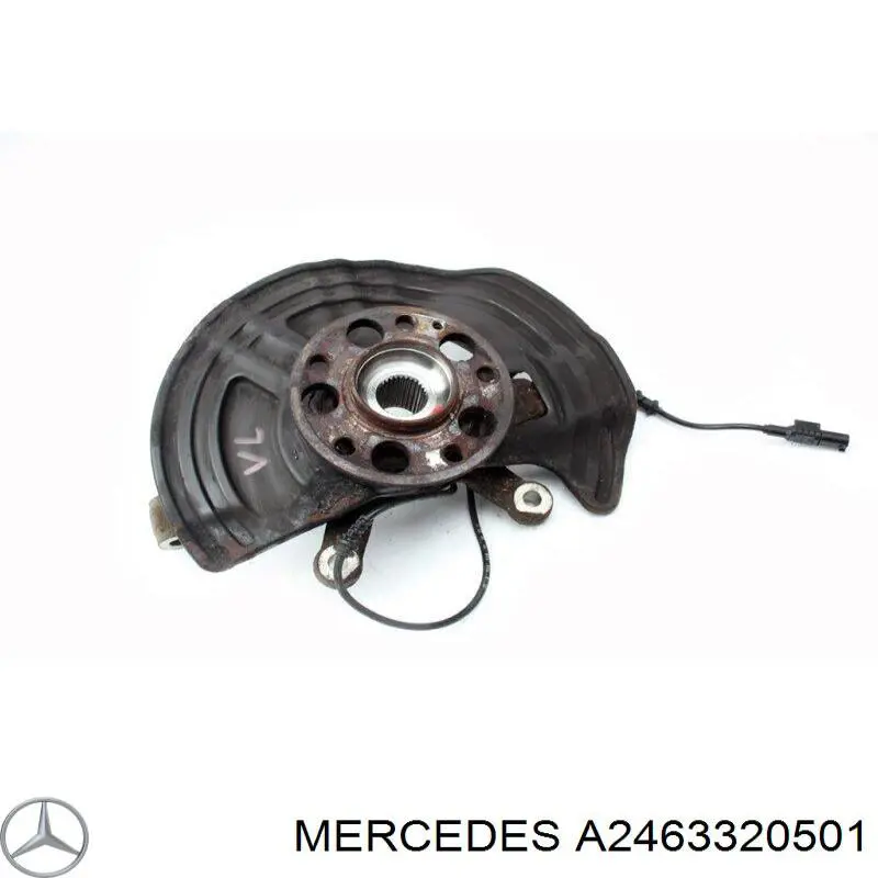 A2463320501 Mercedes Mangueta delantera izquierda