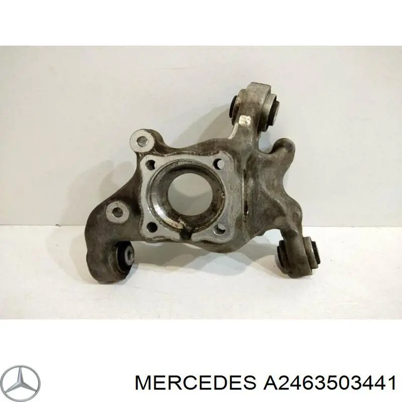 A2463503441 Mercedes