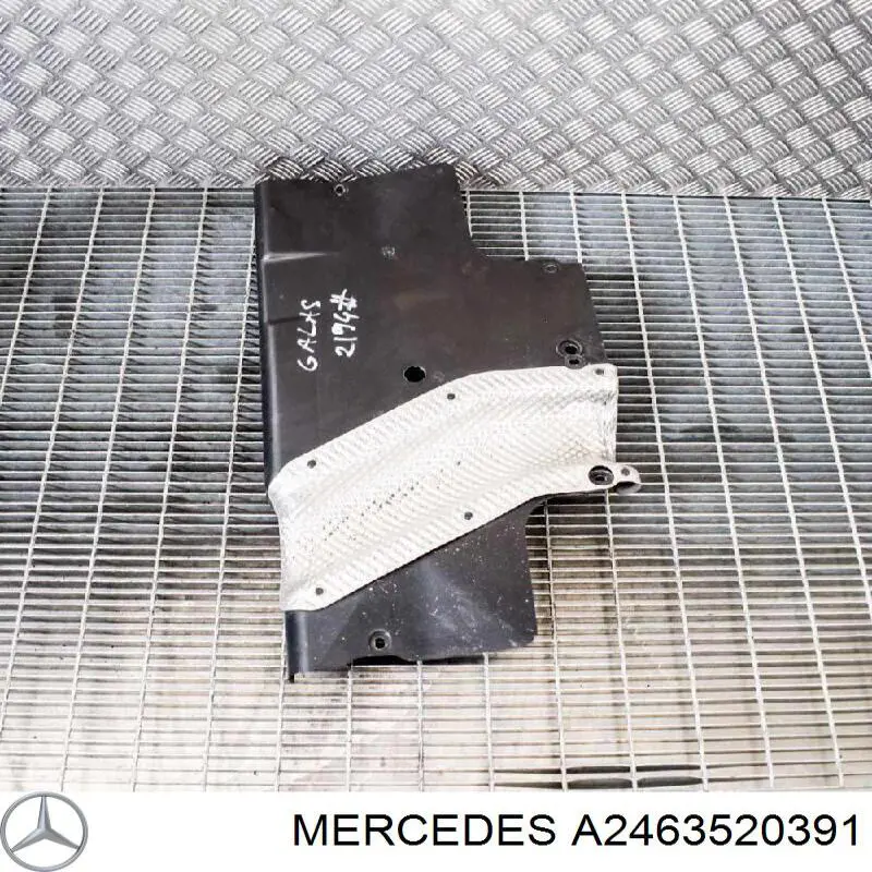 A2463520391 Mercedes 