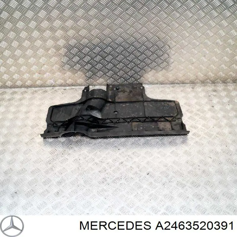 A2463520391 Mercedes