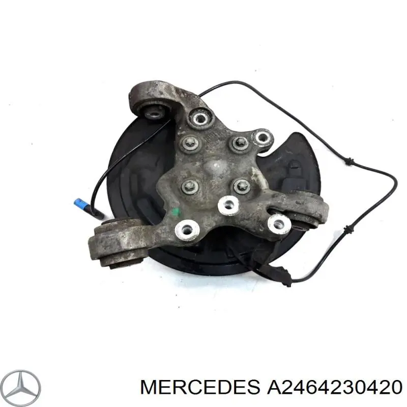 Comprar A2464230420 Mercedes Protector de disco de freno trasero izquierdo