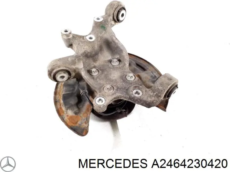 A2464230420 Mercedes Protector de disco de freno trasero izquierdo