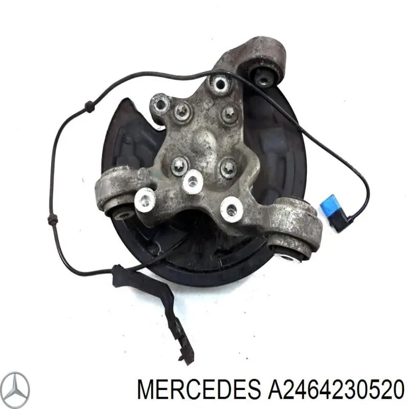 Comprar A2464230520 Mercedes Protector de disco de freno trasero derecho