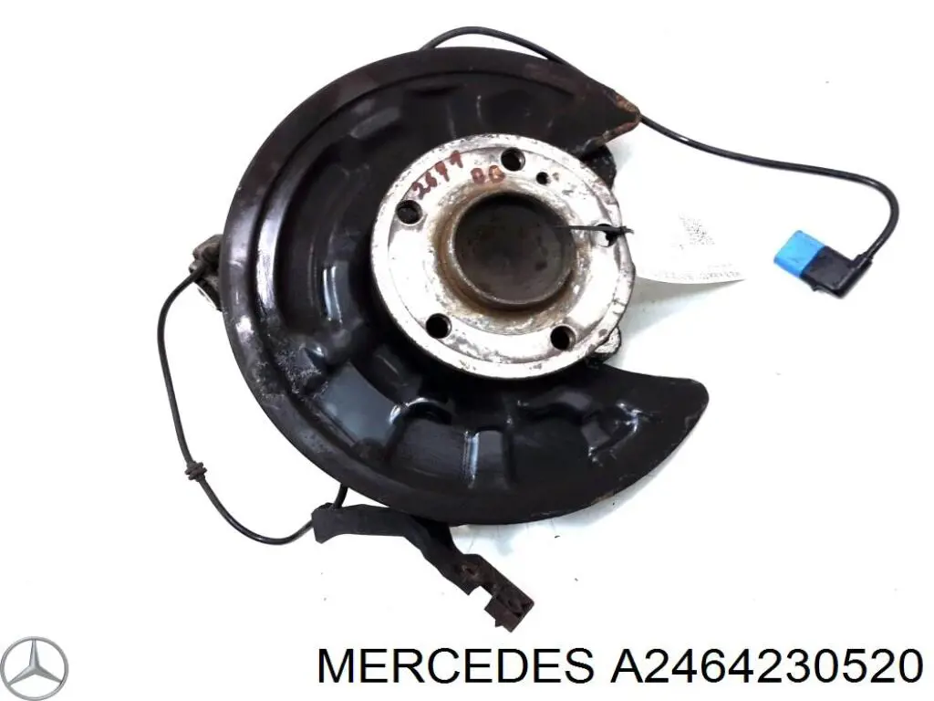 Protector de disco de freno trasero derecho A2464230520 Mercedes