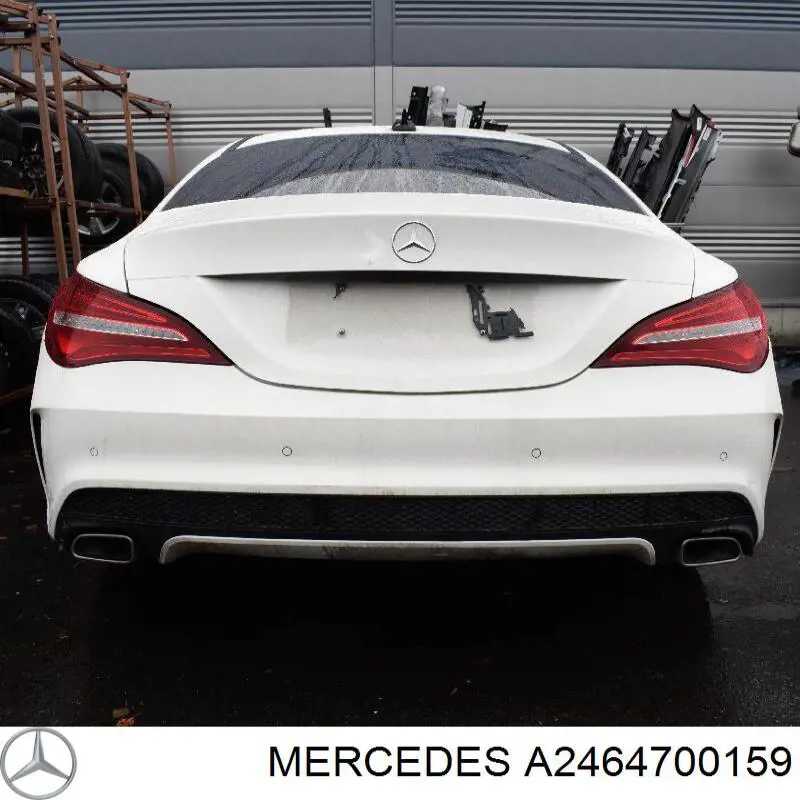 A2464702900 Mercedes Filtro de carbón activado