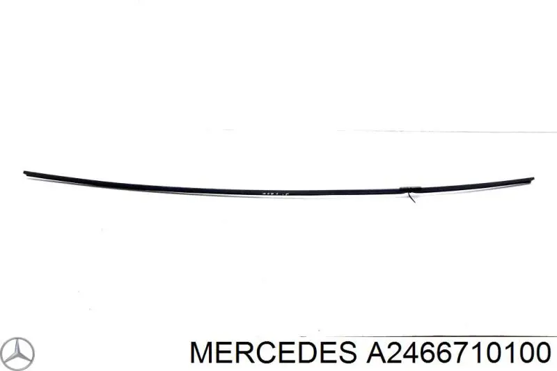 2466710100 Mercedes