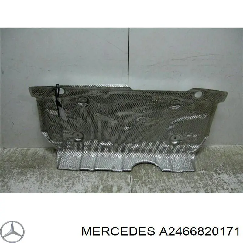 A2466820171 Mercedes